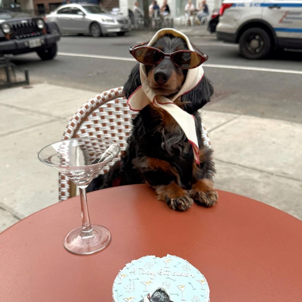 Meet your Posher, Alisen